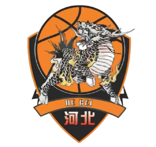 石家庄翔篮 logo